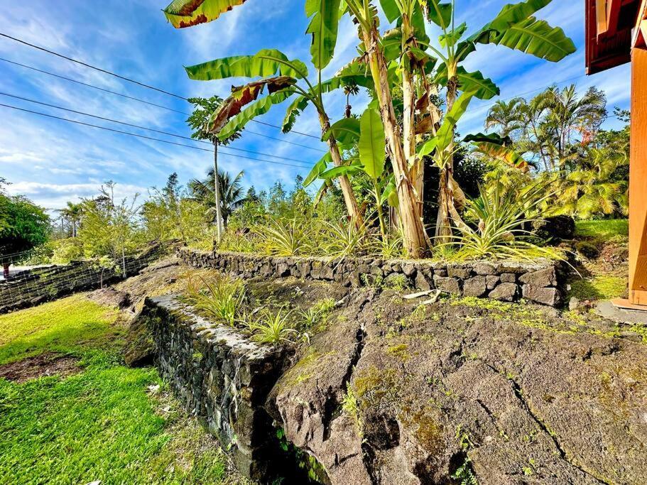 Home Near Volcano National Park, Hilo, Kehena Keaau Exterior foto