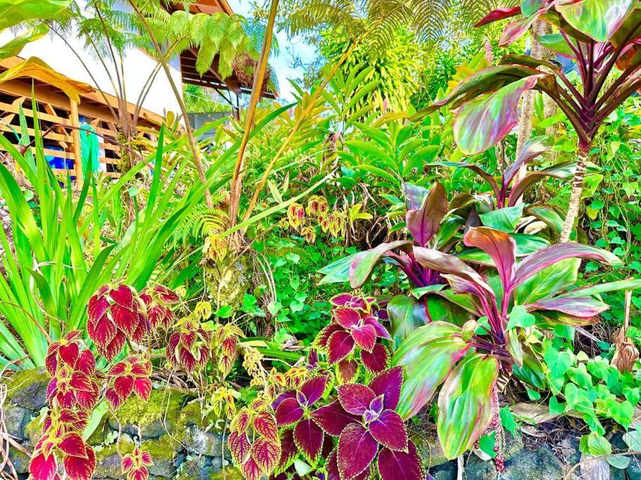 Puna Zen Botanical Garden Retreat Keaau Exterior foto
